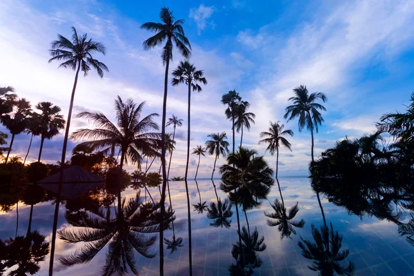 Tall coconut palm trees at twilight sky reflected in water