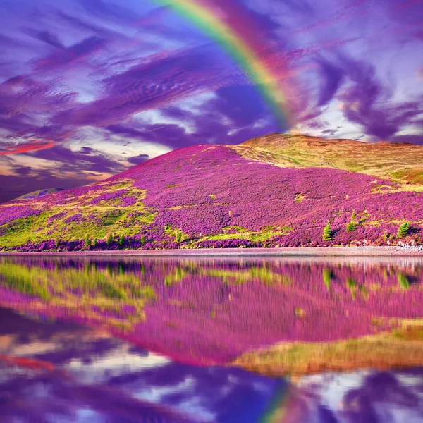 Colorful landscape scenery of rainbow over hill slope covered by