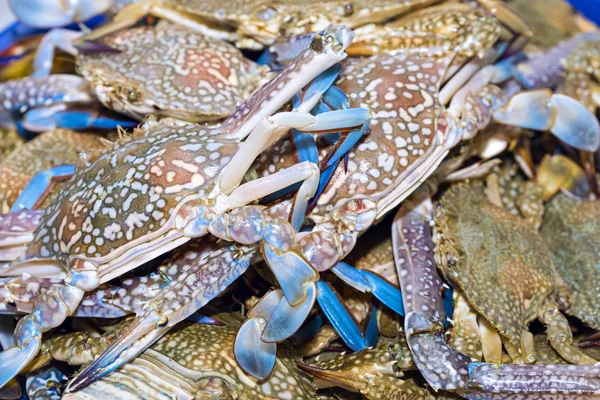 Fresh blue crabs on ice exposition at the seafood market In Thai