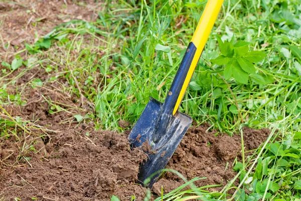 Gardening shovel in the ground. Work in the garden, spring, harv