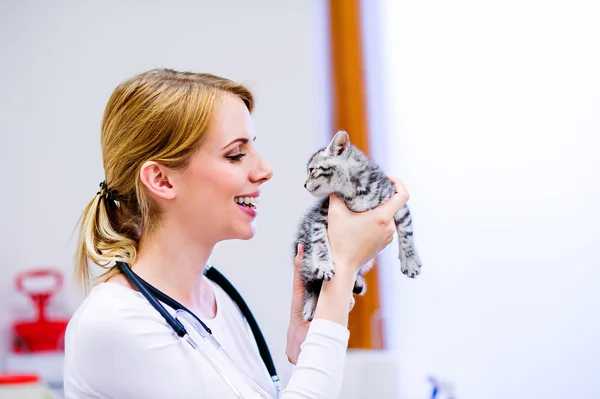 Veterinarian with stethoscope and sick cat.