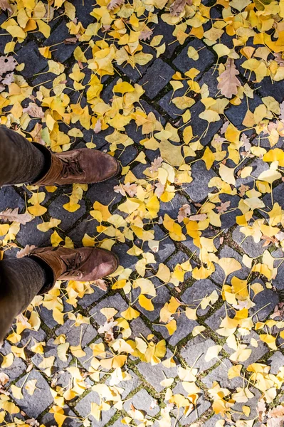 Legs of unrecognizable person in winter boots. Colorful autumn l