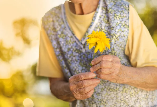 Senior woman holding flower