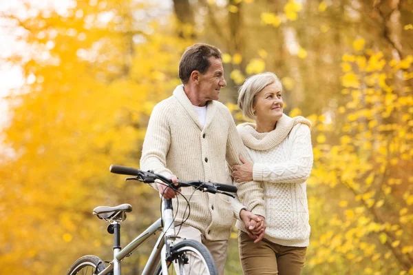 Senior couple enjoying walk with bicycle