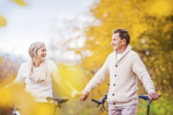 Active seniors on bikes