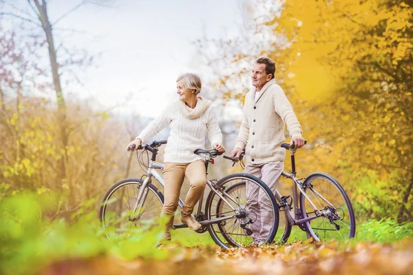 Active seniors on bikes