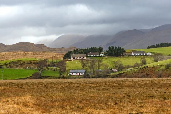 Irish landscape in winter