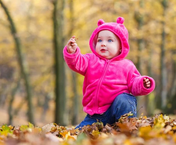 Cute baby girl sitting in autumn leaves