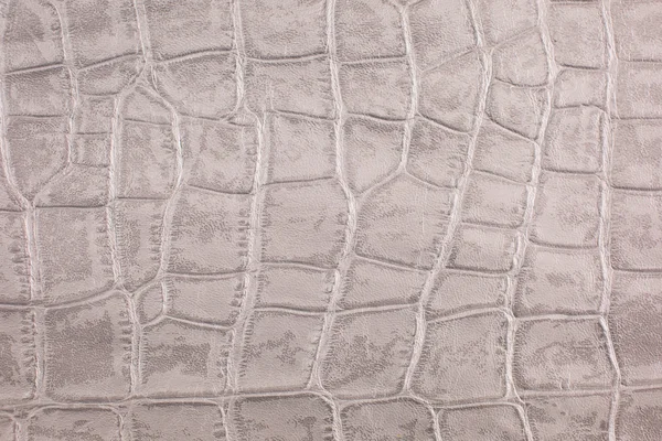Reptile skin, leather background