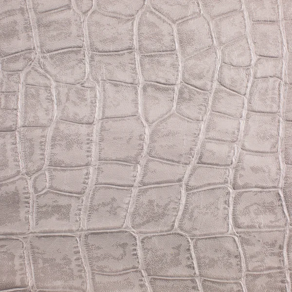 Reptile skin, leather background