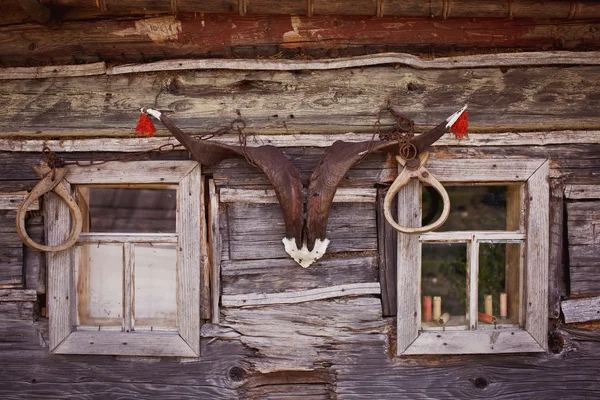 Old countryside house wooden wall details with cow skull and hor