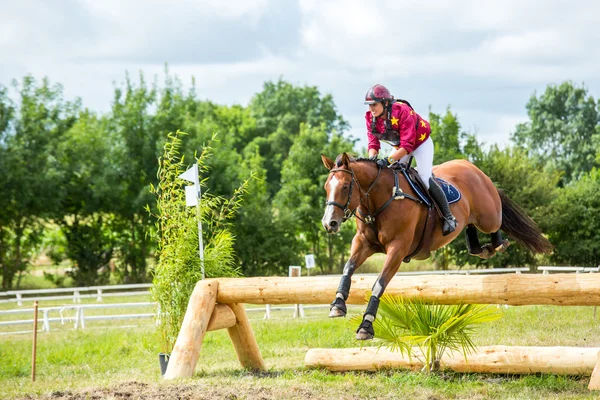 Saint Cyr du Doret, France - July 29, 2016: Woman riding horse over obstacle on cross country event