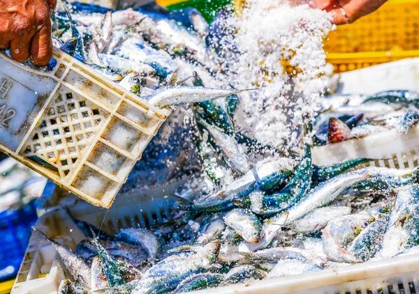 Fishermen arranging containers with fish