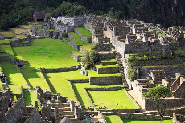 Machu Picchu, Peru, UNESCO World Heritage Site. One of the New S