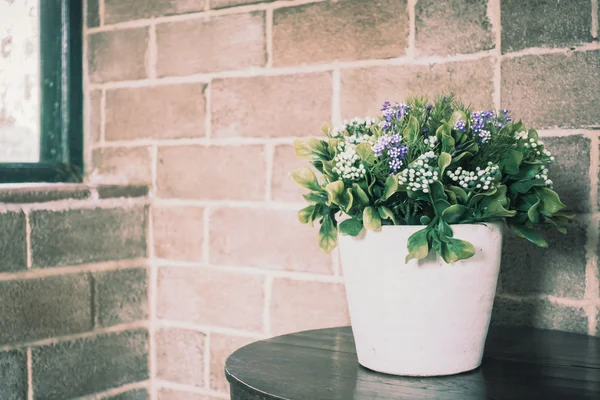 Vase plant decoration interior