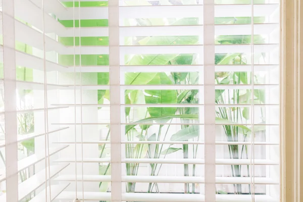 Blinds window decoration in living room