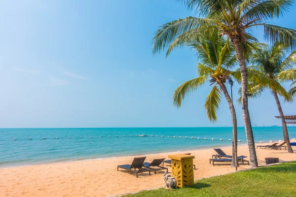 Beautiful beach and sea with palm trees