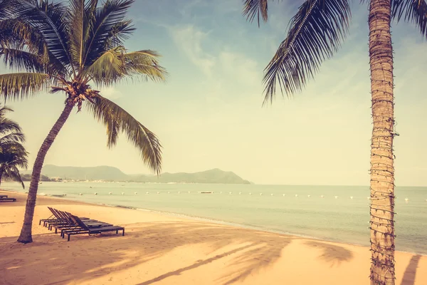 Beautiful beach and sea with palm trees