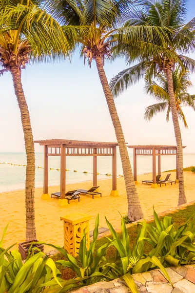 Beautiful beach and sea with palm trees