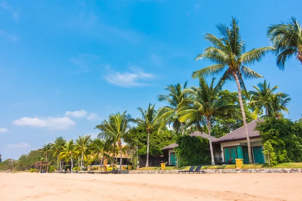 Beautiful beach and sea with palm trees