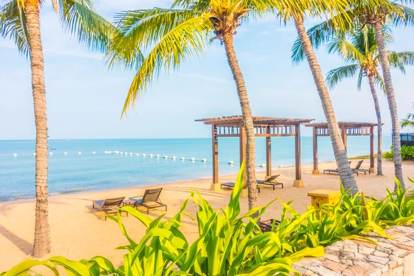 Beautiful beach and sea with palm trees