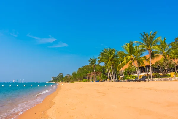 Beautiful beach and sea with palm trees