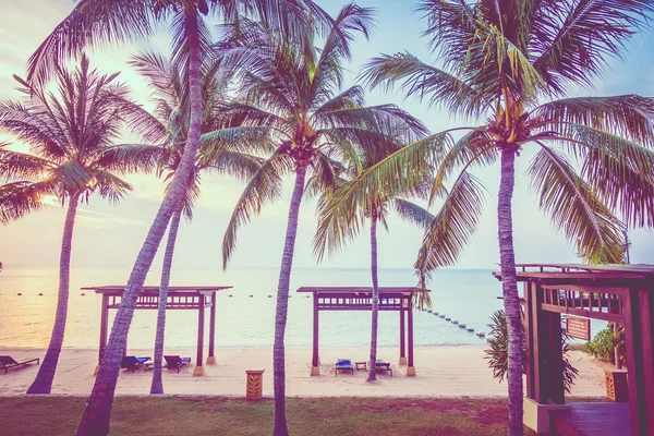 Beautiful beach and sea with palm trees