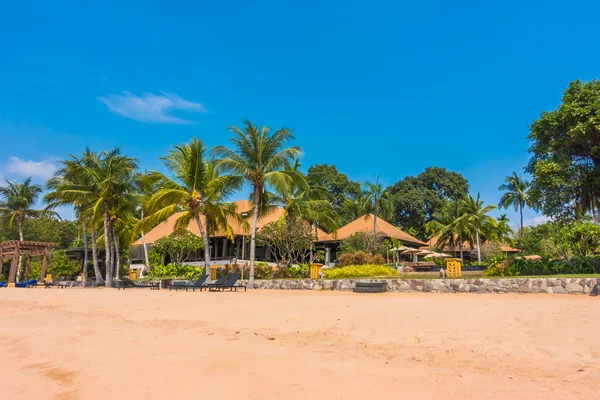 Beautiful beach and sea with palm trees