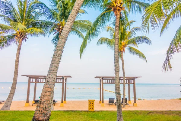 Beautiful beach and sea with palm trees