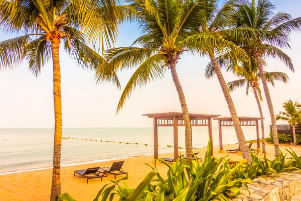 Beautiful beach and sea with palm trees