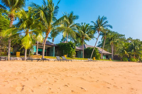 Beautiful beach and sea with palm trees