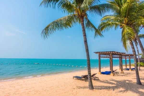 Beautiful beach and sea with palm trees