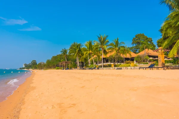 Beautiful beach and sea with palm trees