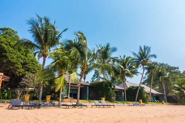 Beautiful beach and sea with palm trees