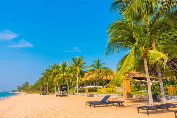 Beautiful beach and sea with palm trees