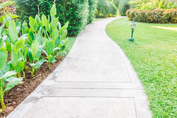 Garden path way for walking