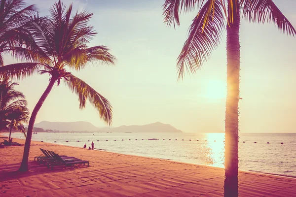 Beautiful beach and sea with palm tree