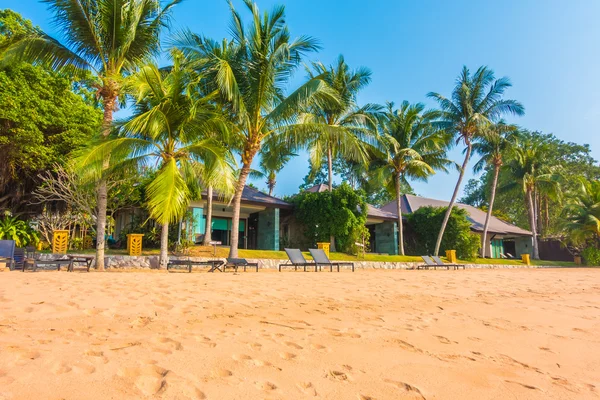 Beautiful beach and sea with palm tree