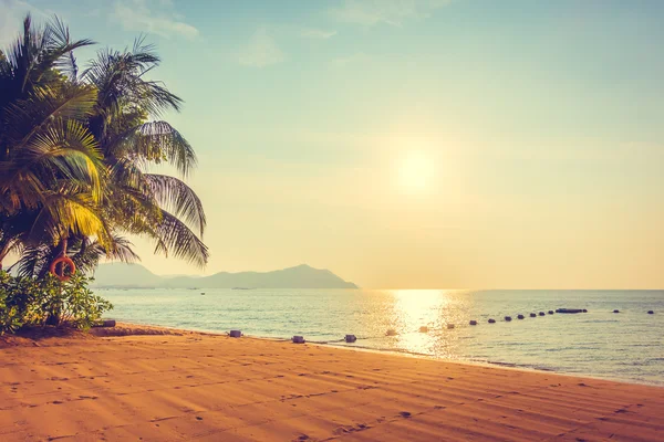 Beautiful beach and sea with palm tree