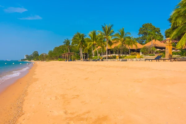 Beautiful beach and sea with palm tree