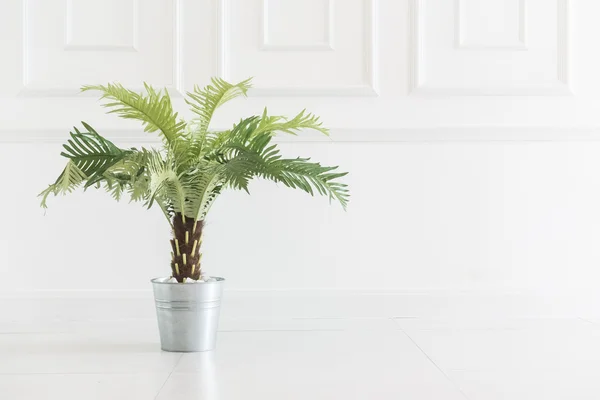 Vase plant decoration in room
