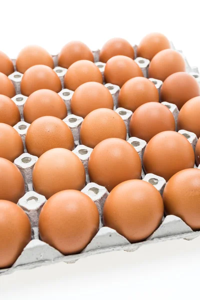 Eggs pack on white