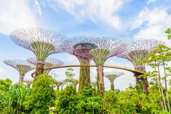 Garden by the bay