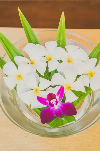 Beautiful flowers in bowl of water