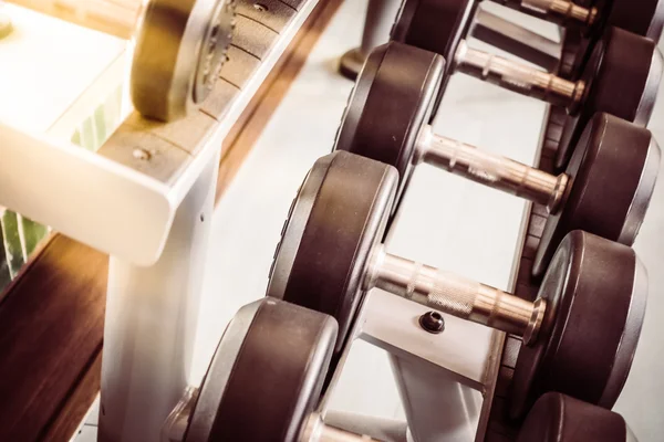 Dumbbell equipment in fitness gym room