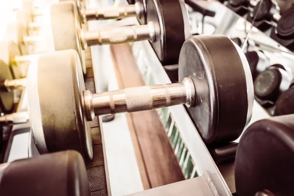 Dumbbell equipment in gym