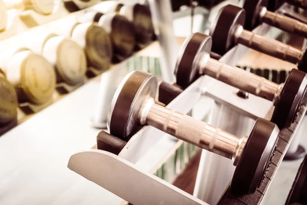 Dumbbell equipment in gym