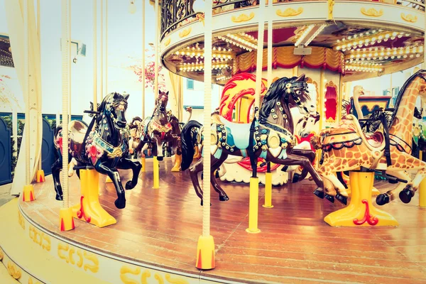 Carousel horse in amusement attraction park