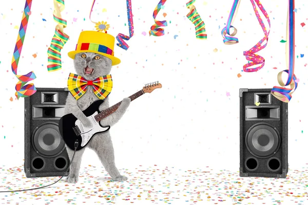 Guitar cat party