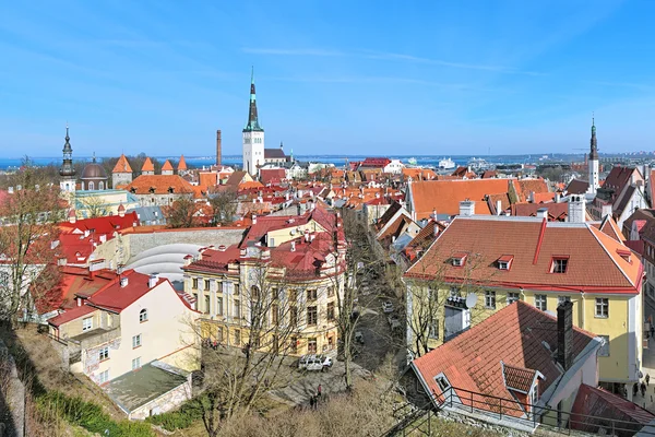 View of the Lower Town of Tallinn Old Town, Estonia